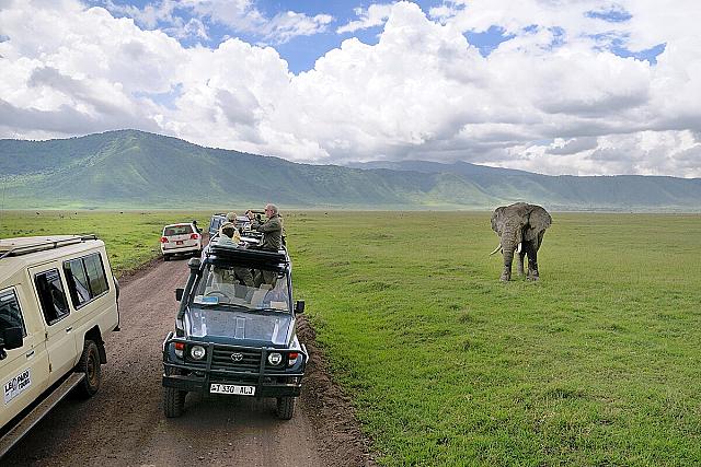 7H6M Jejak Hidupan Liar & Budaya Tanzania: 7 Hari Safari Menakjubkan (SIC)