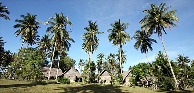 Photo of