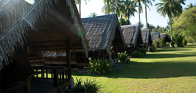 Photo of