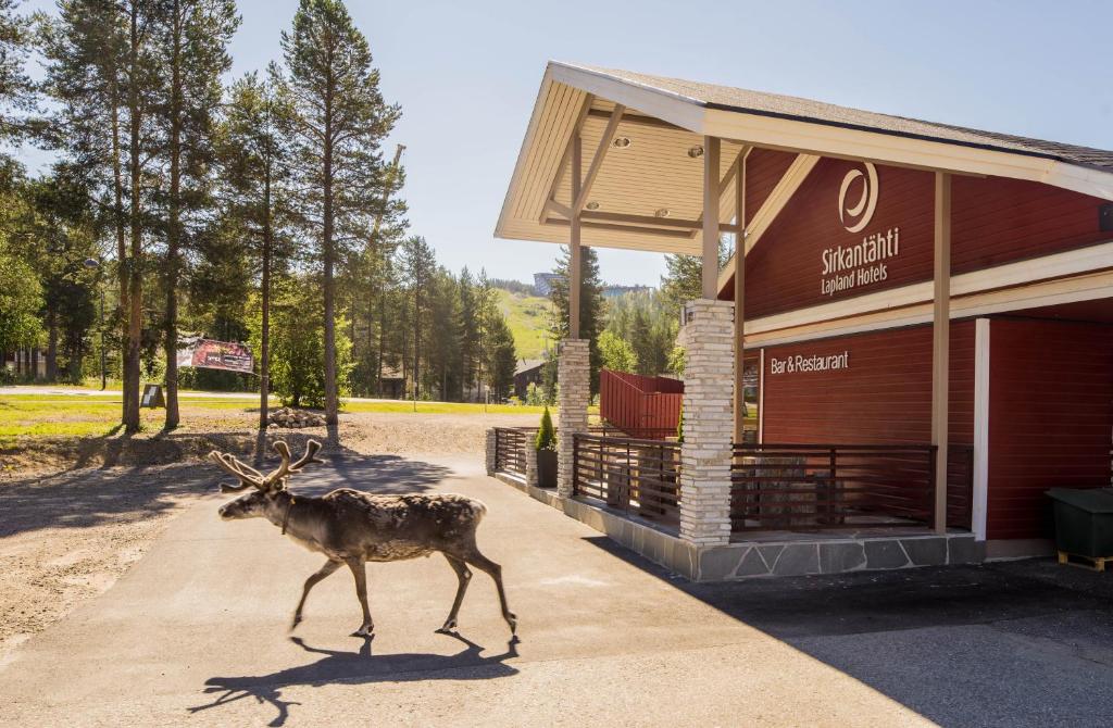 Lapland Hotels Sirkantähti 4