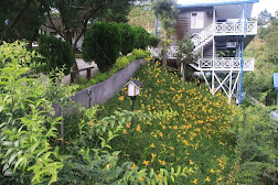 Kinabalu Pine Resort 3