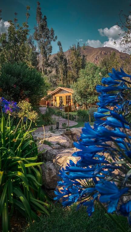 Andean Wings Valley 1