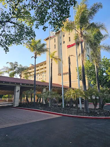 Sheraton Hotel 2