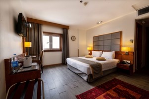 Elysee Hotel 1