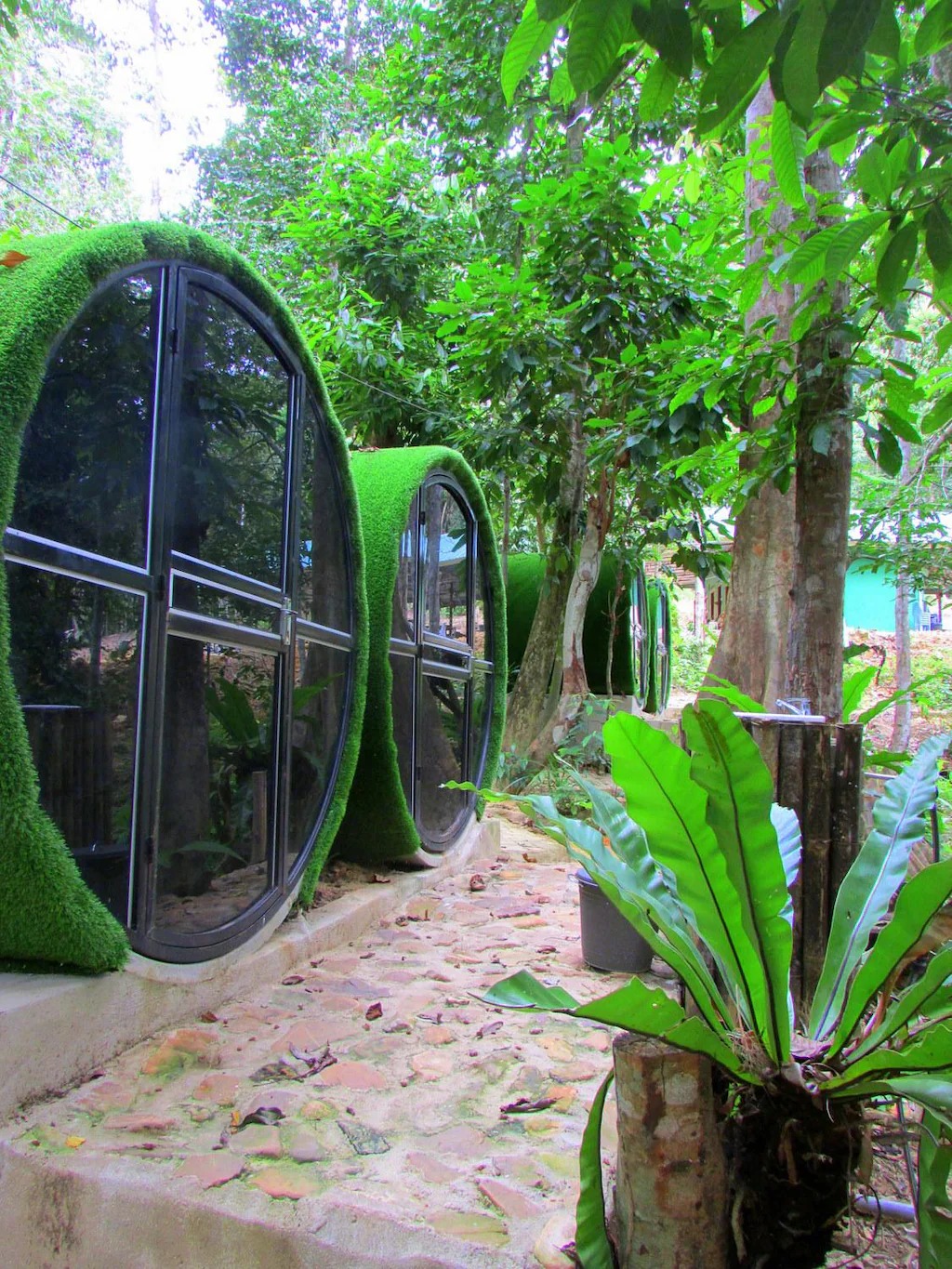 Danz Eco Resort (Capsule) 2 pax 1
