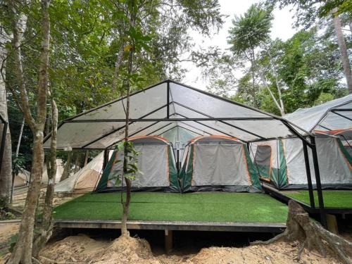 Danz Eco Resort (Glamping Balcony) 4 pax 1
