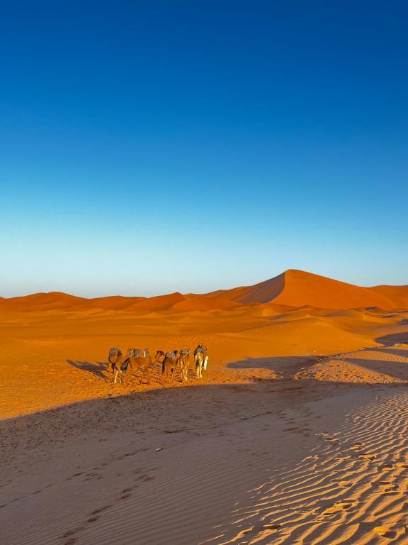 Ksar Merzouga Hotel & Camps 14