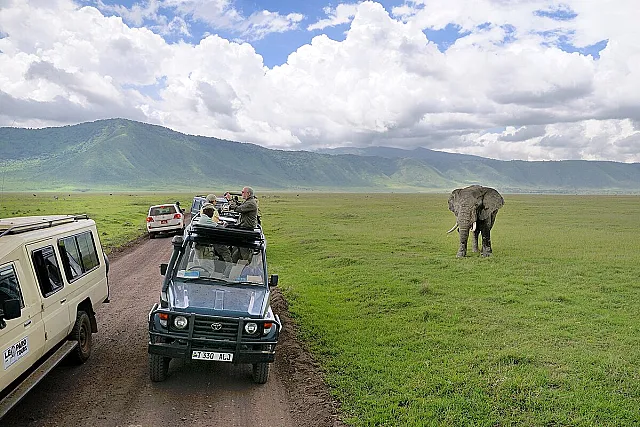 7H6M Keajaiban Tanzania: Safari & Pesona Afrika Timur