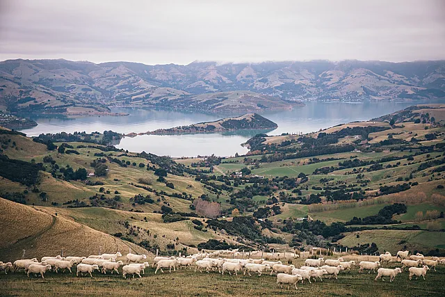 12D10N North & South Island of New Zealand: Auckland, Rotorua, Christchurch, Twizel, Queenstown & Te Anau