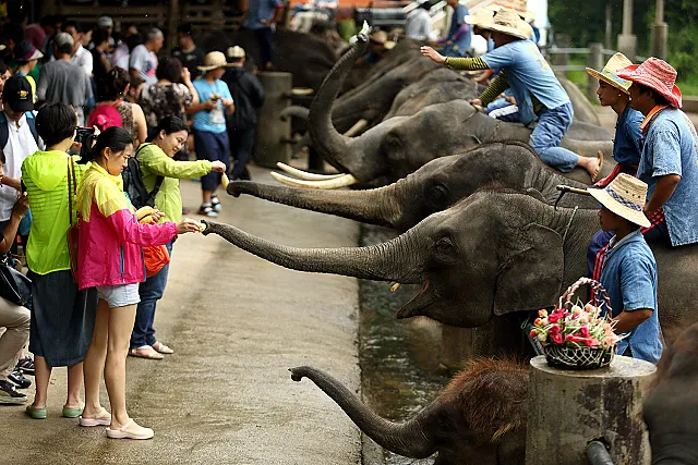 4D3N Explore Chiang Mai & Chiang Rai, Thailand