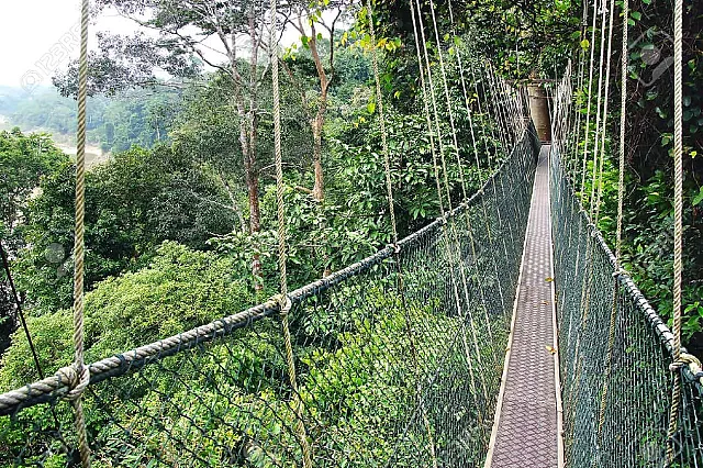 3D2N Danz Eco Resort, Taman Negara